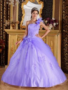 Romantic One Shoulder Appliques Tulle Sweet Sixteen Dress