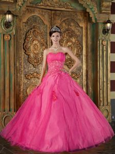 Beautiful Organza Appliques Sweetheart Hot Pink Sweet 15 Dresses