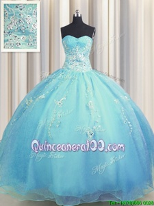 Traditional Zipper Up Baby Blue and Light Blue Sleeveless Beading and Appliques Floor Length Sweet 16 Quinceanera Dress
