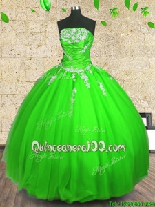 High End Floor Length Ball Gowns Sleeveless Spring Green Quinceanera Dresses Lace Up