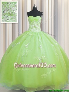 Hot Selling Zipper Up Yellow Green Sleeveless Beading and Appliques Floor Length 15th Birthday Dress