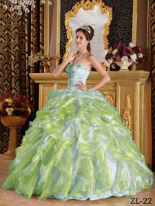 Colorful Sweetheart Dresses Quinceanera with Ruffles Appliques