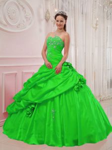 Flowers and Appliques Accent Dresses for A Quinceanera