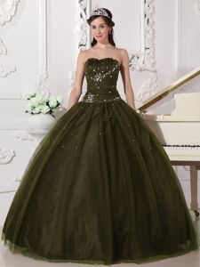 Beaded Dark Olive Green Dresses for A Quinceanera with Sweetheart