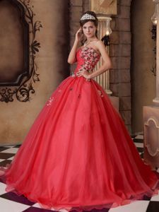 Appliques and Beading Accent Red A-line Organza Sweet 16 Dresses