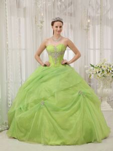 Lovely Beading Sweetheart Appliques Dress for 15 in Yellow Green