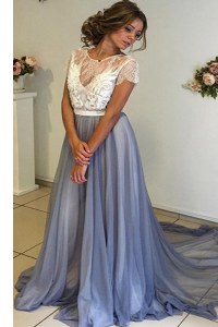 Fantastic Scoop Cap Sleeves Lace and Bowknot Backless Mother Dresses with Grey Court Train