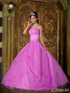 Appliques Accent Sweetheart Organza Quince Dresses in Rose Pink