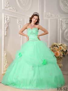 Appliques and Flowers Accent Sweetheart Apple Green Quince Dress