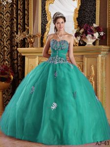 Turquoise Sweetheart Organza Appliqued Quinceanera Gowns Dresses