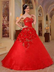 Red A-line Organza Quinceanera Dresses Gowns with Flowers Beading