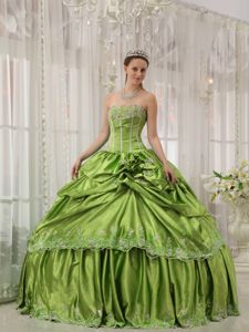 Appliqued and Flowery Dresses for A Quinceanera in Spring Green