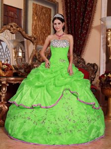 Embroidery Pick ups Spring Green Sweet Sixteen Quinceanera Dress