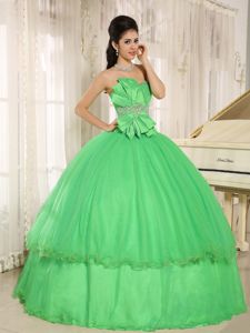 Fitted Green Strapless Organza Dress for a Quinceanera with Beading