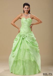 Organza Beaded Sweetheart Dress for a Quince Ruche in Apple Green