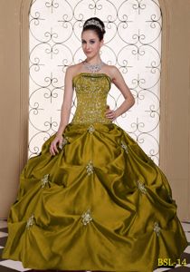 Embroidered Olive Green Dresses Quinceanera with Pick ups 2013