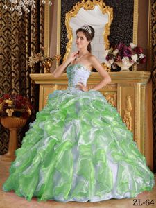 2013 New Colorful Organza Quinceanera Dress with Puffy Ruffles