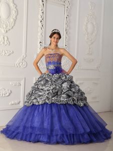 Unique Blue Embroidered 2013 Sweet 16 Gown with Zebra Print