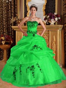 Lovely Sweetheart Spring Green 2013 Quinceanera Gown with Appliques