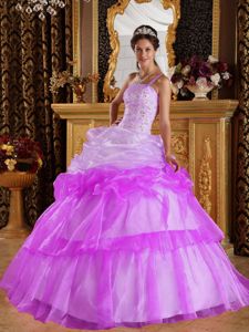 Single-shoulder 2013 Purple Quince Dress with Pick-ups on Sale