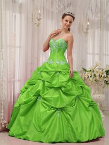 Taffeta Spring Green Sweet 15 Dress with Appliques and Pick-ups