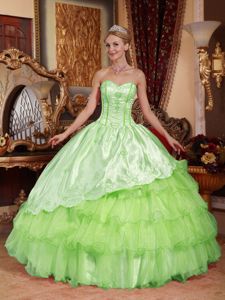 Embroidered and Ruffled Quinceanera Dresses in Bud Green 2013