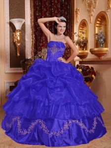 Blue Organza Strapless Dresses of 15 with Appliques and Pick ups