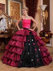 Hot Pink and Black Sweet 16 Dresses with Flowers and Ruffled Layers