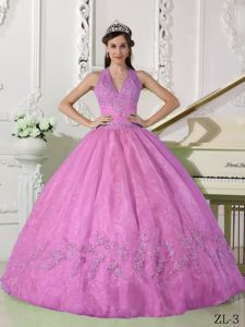 Appliques Accent Halter Organza Quinceanera Gowns in Rose Pink