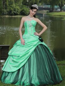 Apple Green and Black Quinceanera Party Dress with Appliques