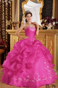Hot Pink Organza Quinceanera Gown Dress with Embroidery and Pick-ups