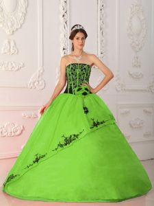 Spring Green and Black Satin and Organza Quince Dress with Embroidery