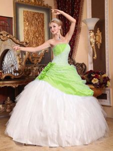 Spring Green and White Quinceanera Gown Dress with Handmade Flowers