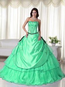 Apple Green Floor-length Beaded Organza Quinceneara Dresses