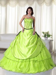 Gorgeous Green Strapless Ball Gown Organza Quinceanera Dresses