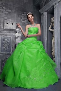 Green Taffeta and Organza Appliques Quinceanera Gown Dresses