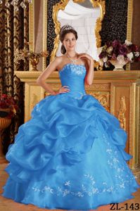 Aqua Blue Embroidery Quinceanera Dresses Gowns with Pick-ups