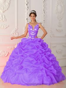 Elegant Lilac Ball Gown Straps Sweet 15 Dresses with Pick-ups