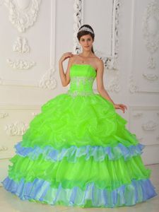 Dressy Yellow Green Organza Quinceanera Party Dress with Pick-ups