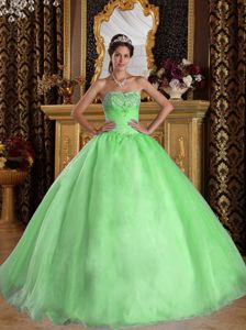 Organza Strapless Beading Quinceanera Party Dresses in Spring Green
