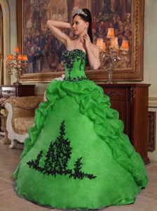 Discount Strapless Appliques Pick-ups Sweet Sixteen Dress in Green