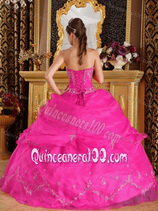 Plus Size Ball Gown Hot Pink Appliqued Quinceanera Gown Dress