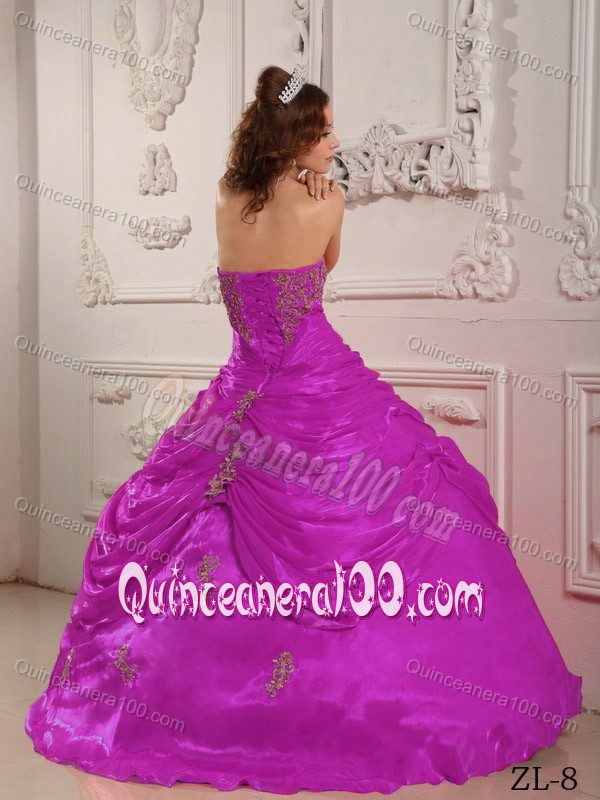 Customize Organza Fuchsia Strapless Appliques Dress for Quince