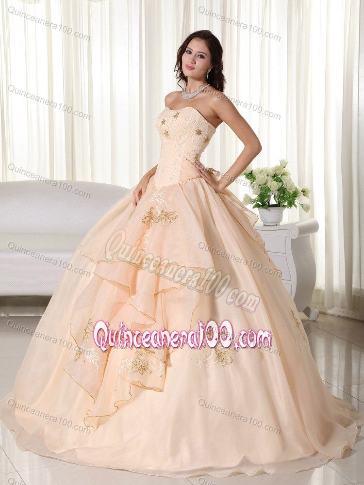 Embroidery Accent Champagne Ruffled Strapless Dresses Quince