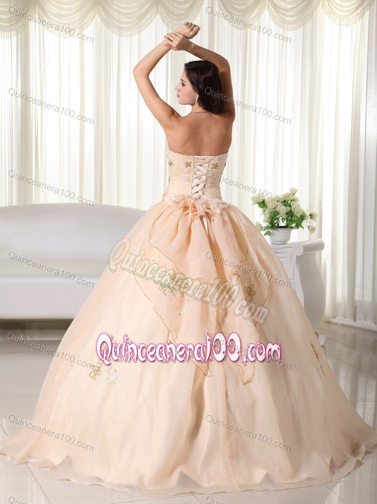 Embroidery Accent Champagne Ruffled Strapless Dresses Quince