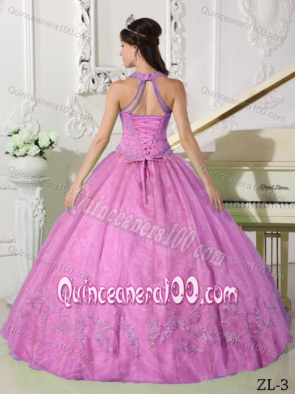 Appliques Accent Halter Organza Quinceanera Gowns in Rose Pink