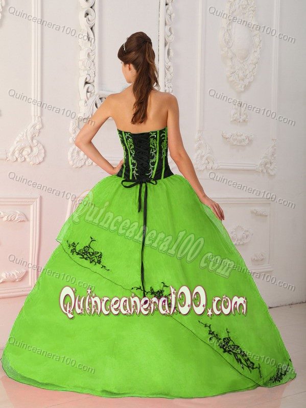 Spring Green and Black Satin and Organza Quince Dress with Embroidery