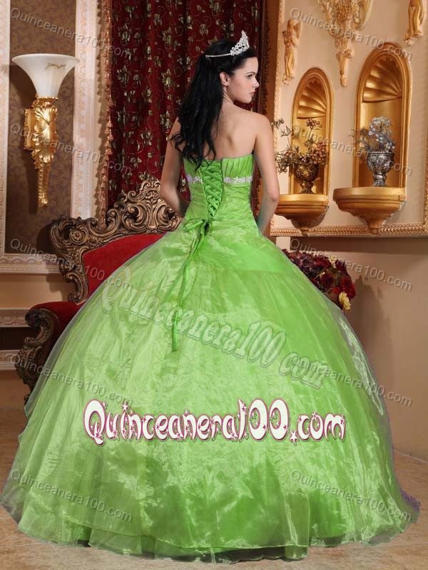 Charming Spring Green Ball Gown Quinceneara Dresses with Appliques
