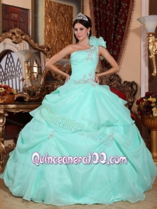 Apple Green Ball Gown One Shoulder Floor-length Organza Appliques 16 Birthday Party Dress