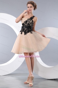 Champagne Organza Appliques Dress 16 Birthday Party